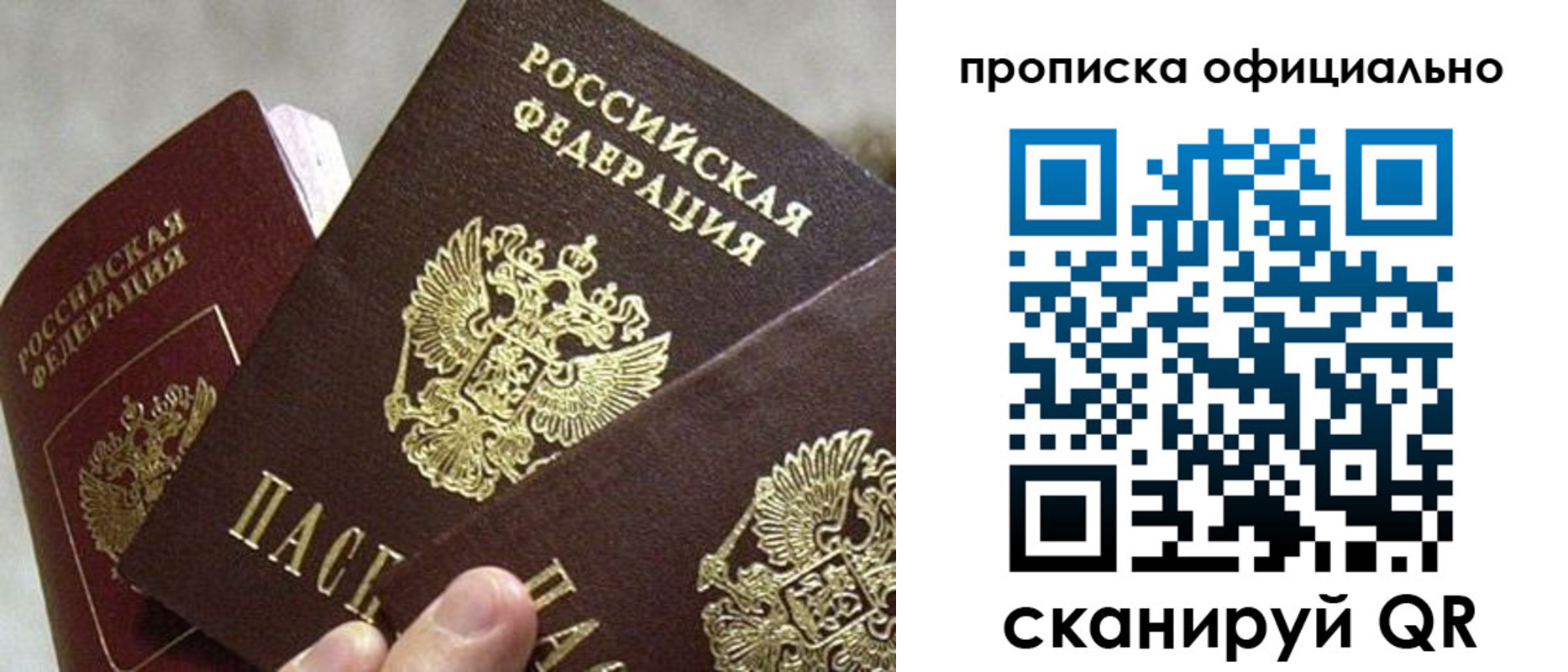прописка гарантия в Черноголовке